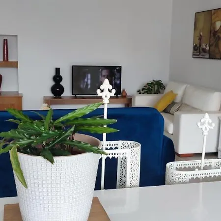 A Casa Ze Alegre 丰沙尔